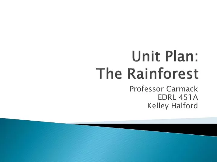 unit plan the rainforest