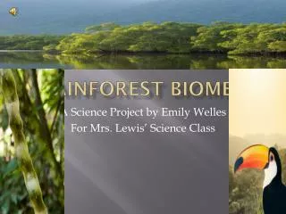 Rainforest Biomes