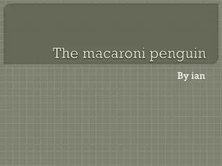 The macaroni penguin