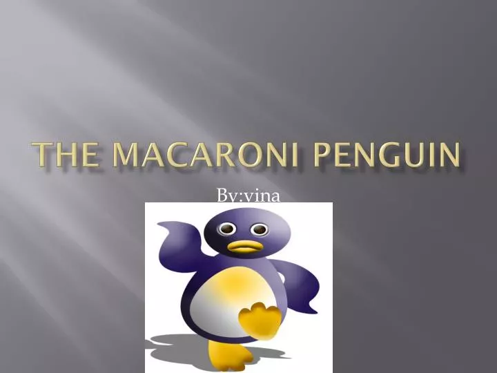 the macaroni penguin