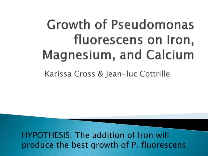 growth of pseudomonas fluorescens on iron magnesium and calcium