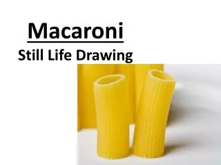 Macaroni Still Life Drawing