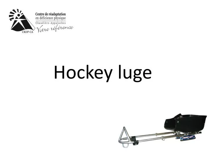 hockey luge