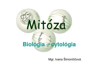 mit za