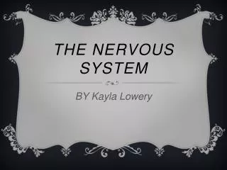 THE NERVOUS SYSTEM