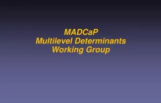 MADCaP Multilevel Determinants Working Group