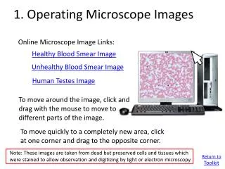 1. Operating Microscope Images
