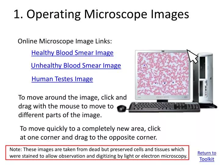 1 operating microscope images
