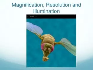 Magnification, Resolution and Illumination