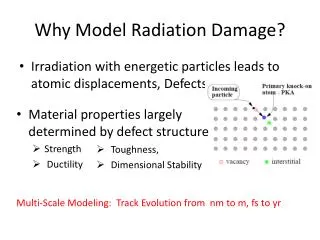 Why Model Radiation Damage?
