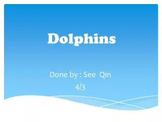 Dolphins