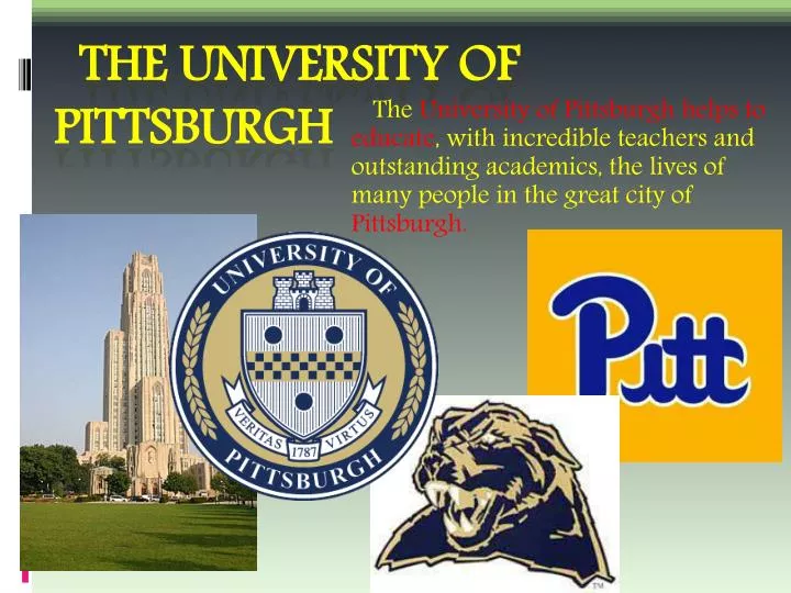 the university of pittsburgh