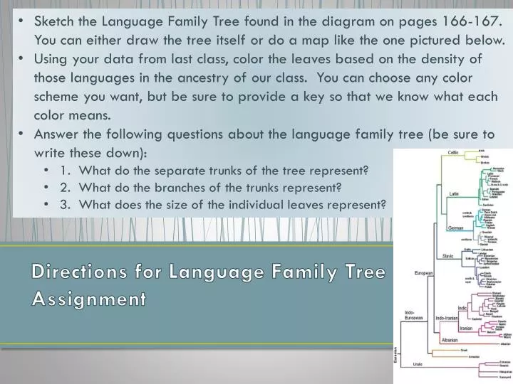 directions for language family tree assignment