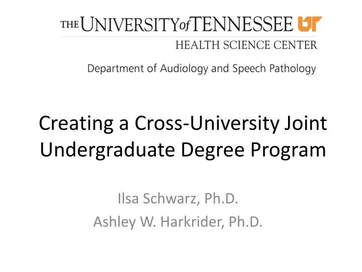 creating a cross university joint undergraduate degree program