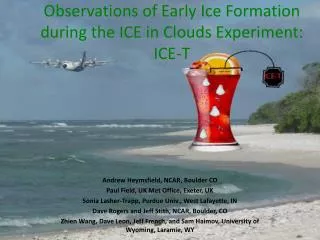 Observations of Early Ice Formation during the ICE in Clouds Experi ment: ICE-T