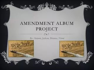 Amendment Album Project