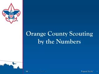 Orange County Scouting by the Numbers