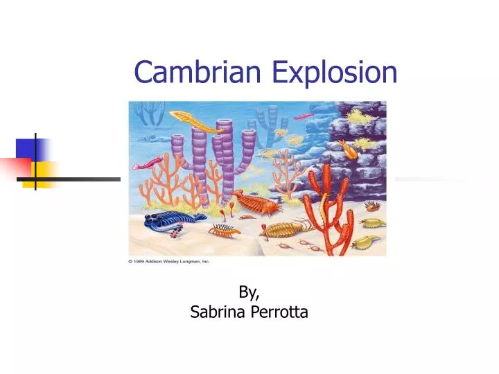 cambrian explosion