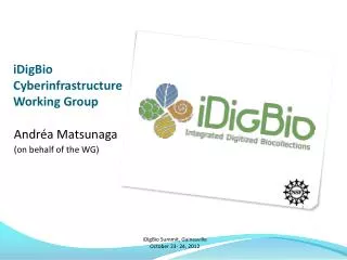 iDigBio Cyberinfrastructure Working Group