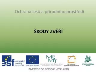kody zv