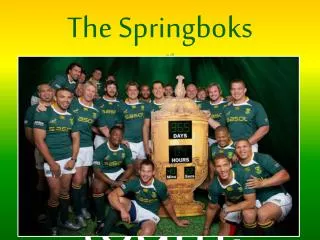The Springboks
