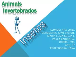 animais invertebrados