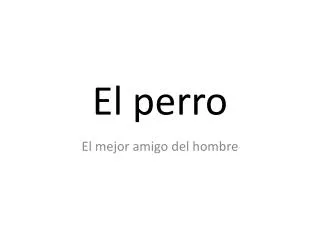 el perro