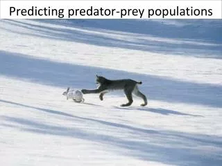 Predicting predator-prey populations