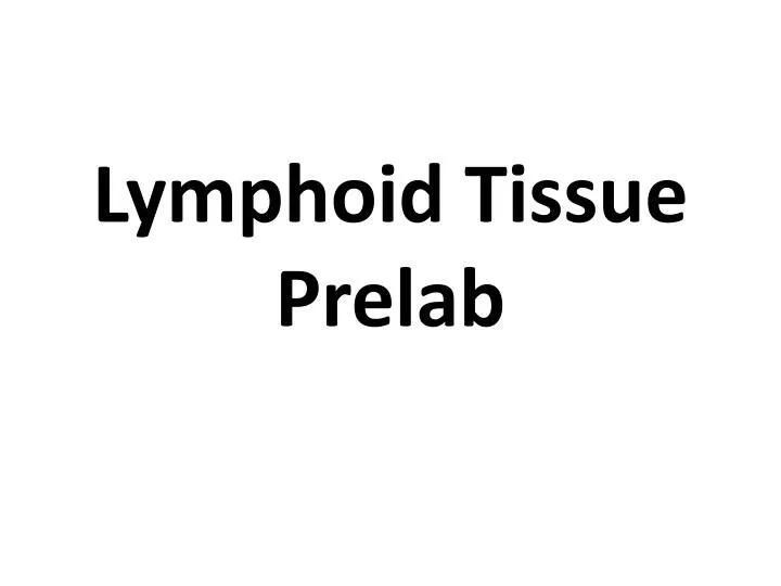 lymphoid tissue prelab