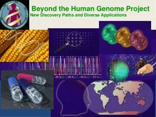 Beyond the Human Genome Project