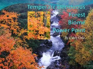 Temperate Deciduous Forest Biome Power Point