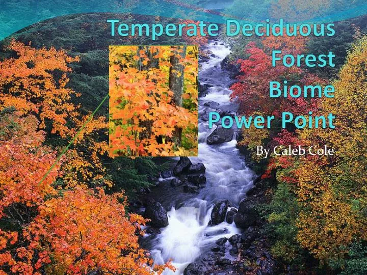 temperate deciduous forest biome power point