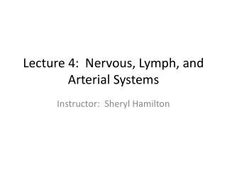 Lecture 4: Nervous, Lymph, and Arterial Systems