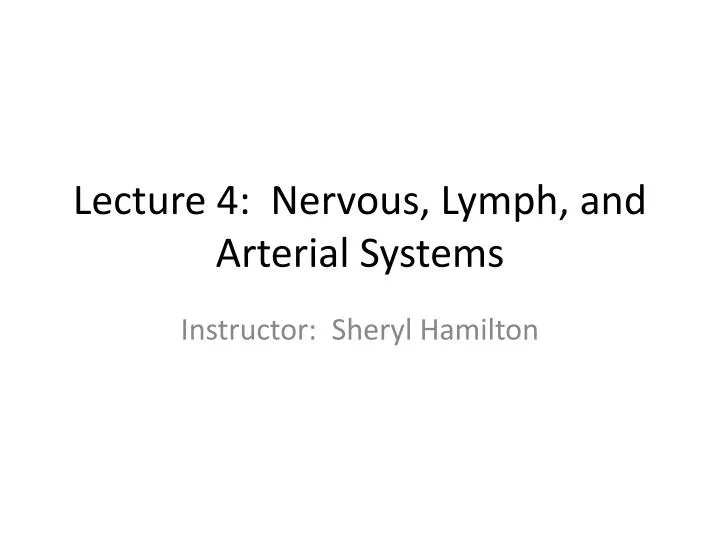 lecture 4 nervous lymph and arterial systems