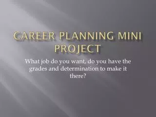 Career Planning Mini Project