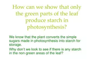 How can we show that only the green parts of the leaf produce starch in photosynthesis?