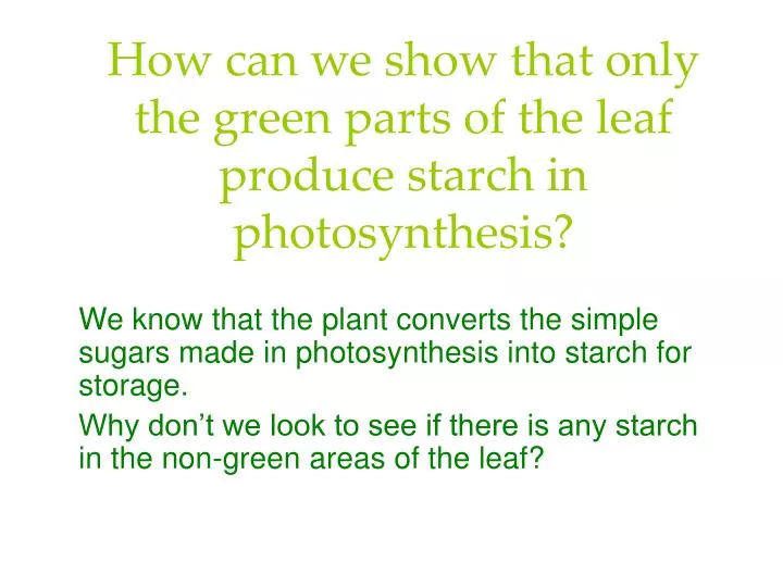how can we show that only the green parts of the leaf produce starch in photosynthesis