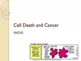 Cell Death and Cancer