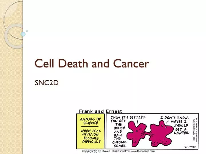 cell death and cancer