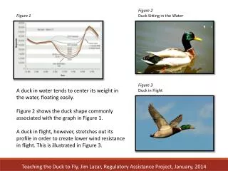 A duck in water tends to center its weight in the water, floating easily.