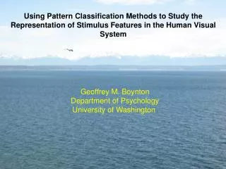 Geoffrey M. Boynton Department of Psychology University of Washington