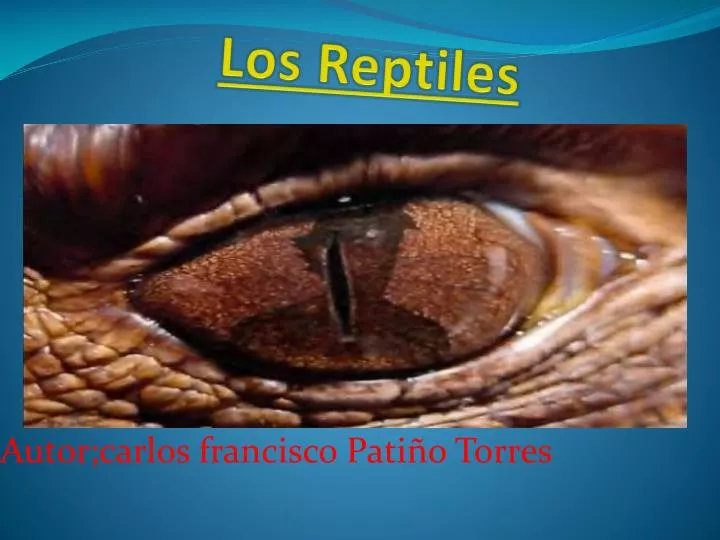 los reptiles