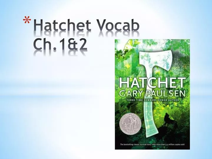 hatchet vocab ch 1 2