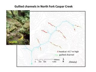 Gullied channels in North Fork Caspar Creek