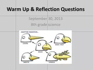 Warm Up &amp; Reflection Questions