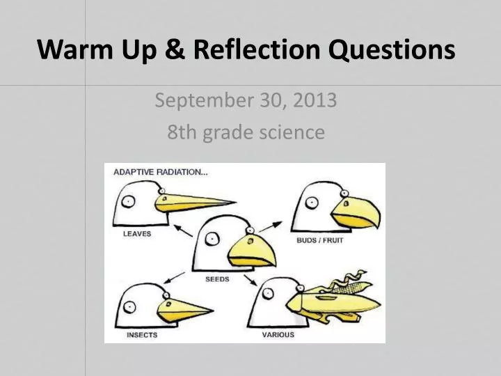 warm up reflection questions