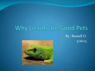 Why Lizards are G ood Pets