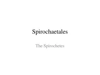 Spirochaetales