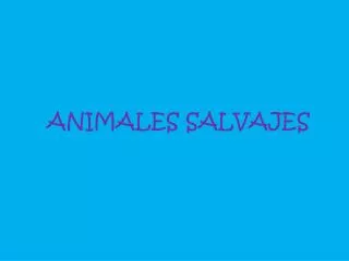 animales salvajes