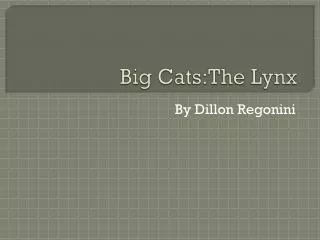 Big Cats:The Lynx